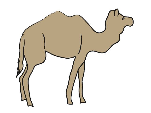ラクダ｜駱駝 - 動物 / クリップアート / 無料 / アニマル / イラスト / アイコン / かわいい / 絵