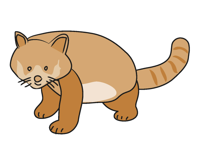 レッサーパンダ - 動物 / クリップアート / 無料 / アニマル / イラスト / アイコン / かわいい / 絵