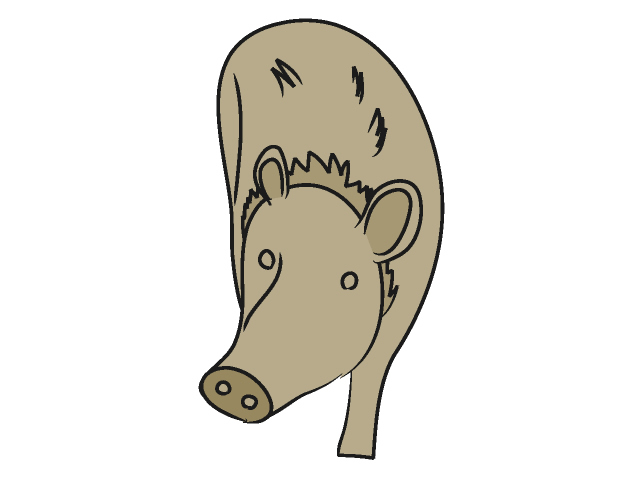 イノシシ - 動物 / クリップアート / 無料 / アニマル / イラスト / アイコン / かわいい / 絵