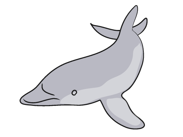 イルカ｜海豚 - 動物 / クリップアート / 無料 / アニマル / イラスト / アイコン / かわいい / 絵