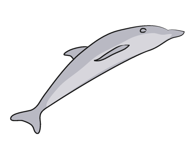 海豚｜イルカ - 動物 / クリップアート / 無料 / アニマル / イラスト / アイコン / かわいい / 絵