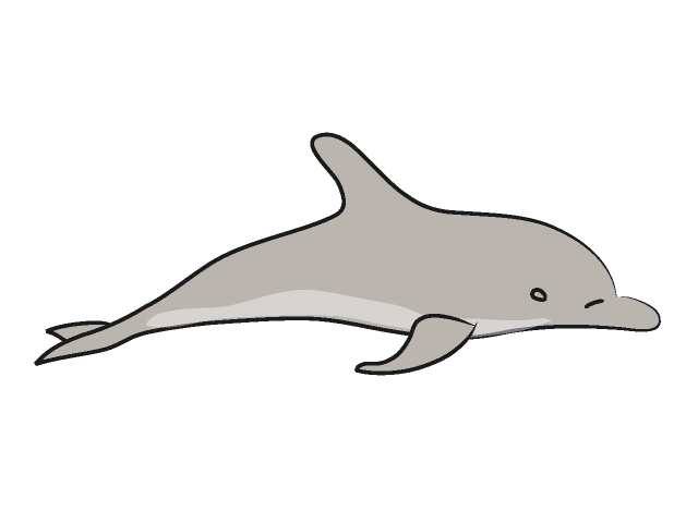 イルカ｜海豚 - 動物 / クリップアート / 無料 / アニマル / イラスト / アイコン / かわいい / 絵