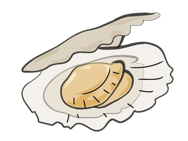 ホタテ貝 - フード/食べ物/美味しい/おやつ/イラスト/写真/フリー素材/クリップアート