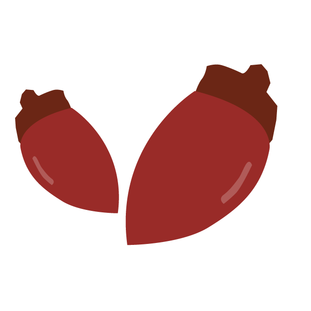 どんぐり - 挿絵 / クリップアート / 無料 / 家電 / 乗り物 / 動物 / 家具 / イラスト / ダウンロード