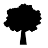 Tree-Icon ｜ Illustration ｜ Free material ｜ Transparent background