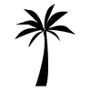 Palm Tree-Icon ｜ Illustration ｜ Free Material ｜ Transparent Background