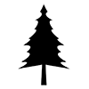 Forest ｜ Tree-Icon ｜ Illustration ｜ Free material ｜ Transparent background