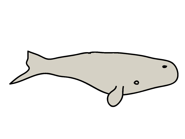 クジラ｜鯨 - 動物 / クリップアート / 無料 / アニマル / イラスト / アイコン / かわいい / 絵