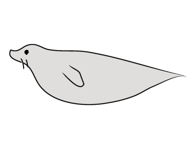 アザラシ/アシカ - 動物 / クリップアート / 無料 / アニマル / イラスト / アイコン / かわいい / 絵