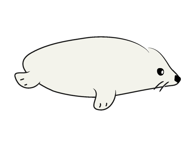 アザラシ/アシカ - 動物 / クリップアート / 無料 / アニマル / イラスト / アイコン / かわいい / 絵