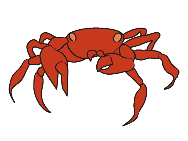 カニ/蟹 - 動物 / クリップアート / 無料 / アニマル / イラスト / アイコン / かわいい / 絵