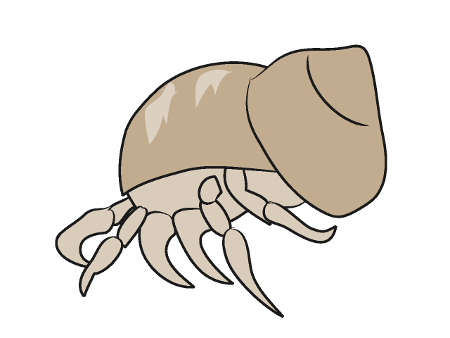 ヤドカリ - 動物 / クリップアート / 無料 / アニマル / イラスト / アイコン / かわいい / 絵