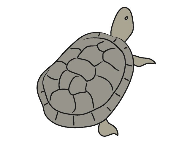 亀｜カメ - 動物 / クリップアート / 無料 / アニマル / イラスト / アイコン / かわいい / 絵