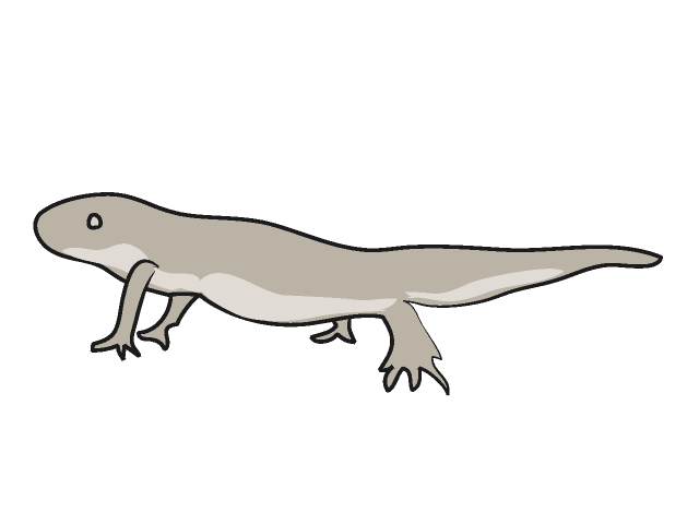 ヤモリ - 動物 / クリップアート / 無料 / アニマル / イラスト / アイコン / かわいい / 絵