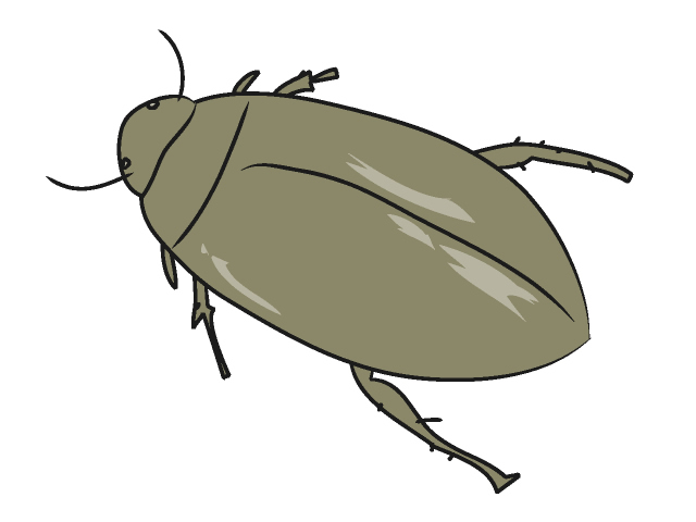 ゲンゴロウ - 動物 / クリップアート / 無料 / アニマル / イラスト / アイコン / かわいい / 絵