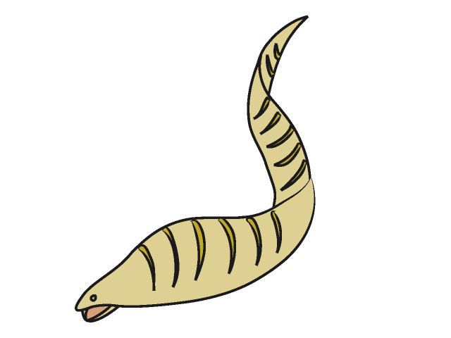 ウツボ - 動物 / クリップアート / 無料 / アニマル / イラスト / アイコン / かわいい / 絵