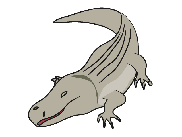 鰐｜ワニ - 動物 / クリップアート / 無料 / アニマル / イラスト / アイコン / かわいい / 絵