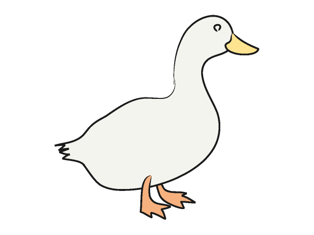 アヒル｜家鴨 - 動物 / クリップアート / 無料 / アニマル / イラスト / アイコン / かわいい / 絵