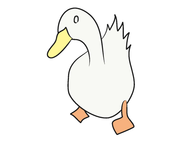 家鴨｜アヒル - 動物 / クリップアート / 無料 / アニマル / イラスト / アイコン / かわいい / 絵