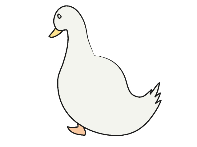 アヒル｜家鴨 - 動物 / クリップアート / 無料 / アニマル / イラスト / アイコン / かわいい / 絵
