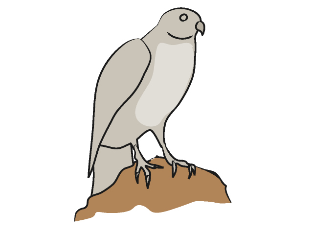 タカ/鷹 - 動物 / クリップアート / 無料 / アニマル / イラスト / アイコン / かわいい / 絵