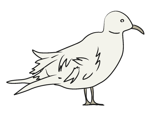 カモメ/鴎 - 動物 / クリップアート / 無料 / アニマル / イラスト / アイコン / かわいい / 絵