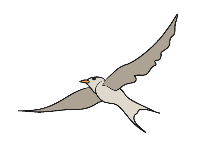 ツバメ - 動物 / クリップアート / 無料 / アニマル / イラスト / アイコン / かわいい / 絵