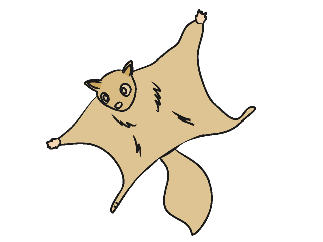 ムササビ - 動物 / クリップアート / 無料 / アニマル / イラスト / アイコン / かわいい / 絵