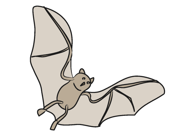 コウモリ｜蝙蝠 - 動物 / クリップアート / 無料 / アニマル / イラスト / アイコン / かわいい / 絵