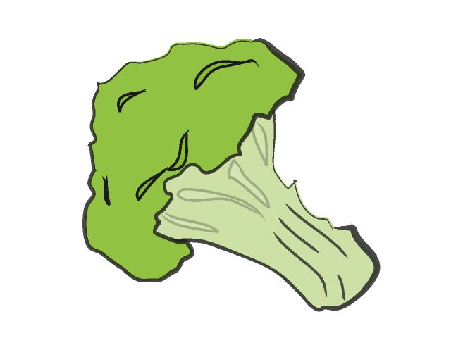 ブロッコリー - フード/食べ物/美味しい/おやつ/イラスト/写真/フリー素材/クリップアート