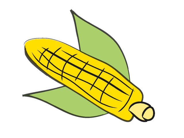 トウモロコシ - フード/食べ物/美味しい/おやつ/イラスト/写真/フリー素材/クリップアート