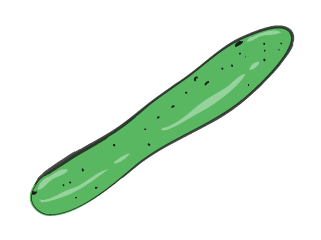 胡瓜/キュウリ - フード/食べ物/美味しい/おやつ/イラスト/写真/フリー素材/クリップアート