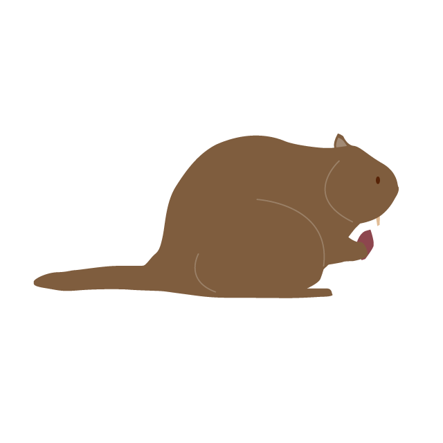 リス - 挿絵 / クリップアート / 無料 / 家電 / 乗り物 / 動物 / 家具 / イラスト / ダウンロード