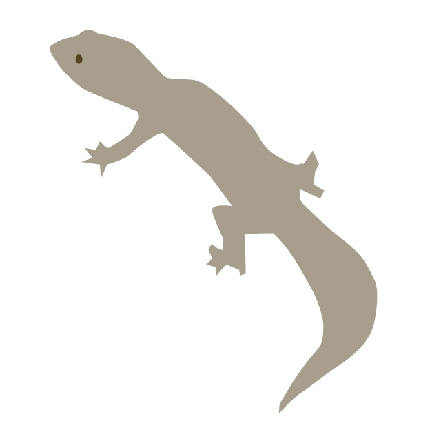 イモリ - 挿絵 / クリップアート / 無料 / 家電 / 乗り物 / 動物 / 家具 / イラスト / ダウンロード