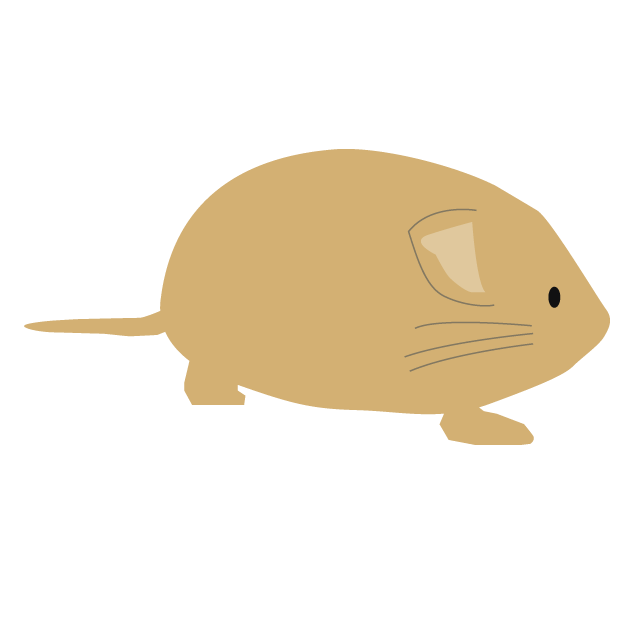 鼠｜ネズミ - 挿絵 / クリップアート / 無料 / 家電 / 乗り物 / 動物 / 家具 / イラスト / ダウンロード