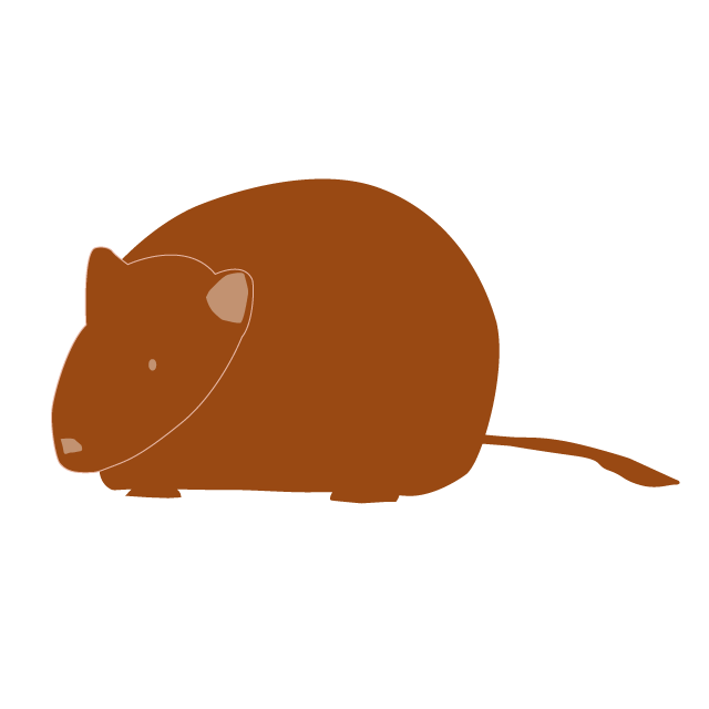 鼠｜ネズミ - 挿絵 / クリップアート / 無料 / 家電 / 乗り物 / 動物 / 家具 / イラスト / ダウンロード