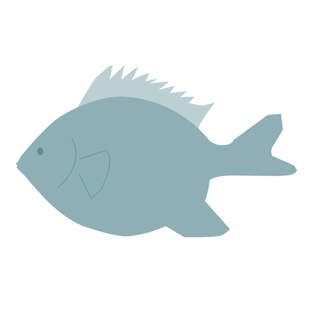 魚 - 挿絵 / クリップアート / 無料 / 家電 / 乗り物 / 動物 / 家具 / イラスト / ダウンロード