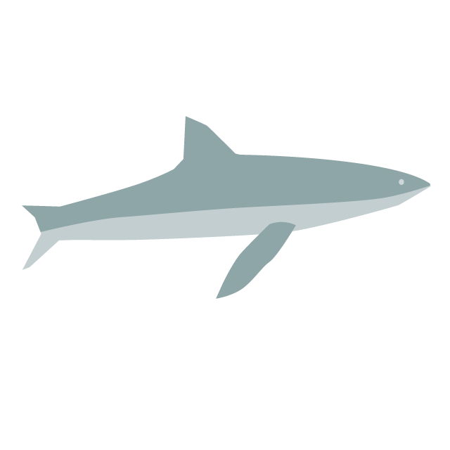 鮫｜サメ - 挿絵 / クリップアート / 無料 / 家電 / 乗り物 / 動物 / 家具 / イラスト / ダウンロード