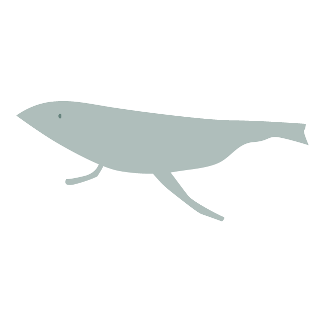 鯨｜クジラ - 挿絵 / クリップアート / 無料 / 家電 / 乗り物 / 動物 / 家具 / イラスト / ダウンロード