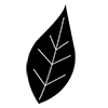 Plants | Leaves-Icons | Illustrations | Free materials | Transparent background
