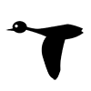 Swan ｜ Bird-Icon ｜ Illustration ｜ Free material ｜ Transparent background