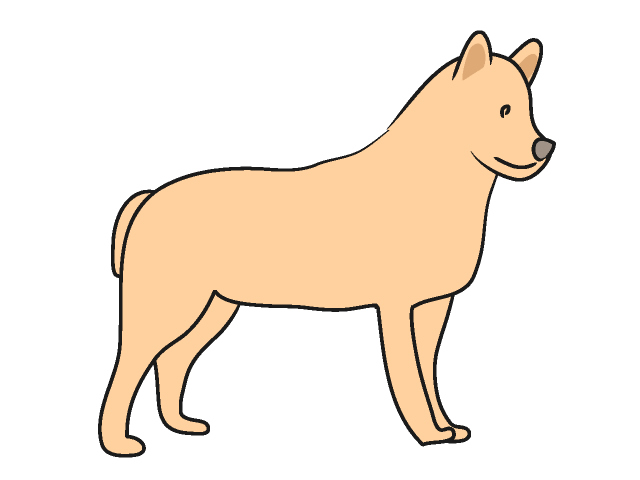 イヌ｜犬 - 動物 / クリップアート / 無料 / アニマル / イラスト / アイコン / かわいい / 絵