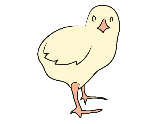 ヒヨコ - 動物 / クリップアート / 無料 / アニマル / イラスト / アイコン / かわいい / 絵