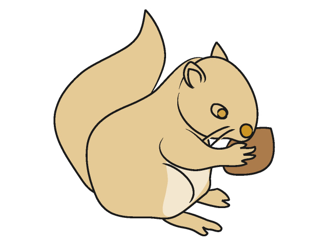 リス｜栗鼠 - 動物 / クリップアート / 無料 / アニマル / イラスト / アイコン / かわいい / 絵