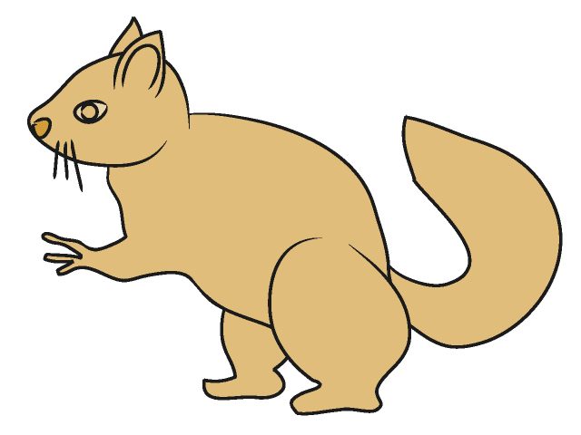 栗鼠｜リス - 動物 / クリップアート / 無料 / アニマル / イラスト / アイコン / かわいい / 絵
