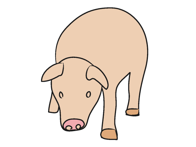 ブタ｜豚 - 動物 / クリップアート / 無料 / アニマル / イラスト / アイコン / かわいい / 絵