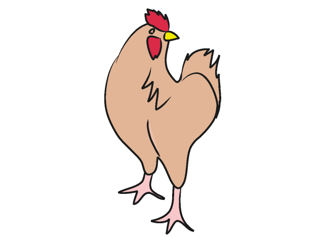 ニワトリ｜鶏 - 動物 / クリップアート / 無料 / アニマル / イラスト / アイコン / かわいい / 絵