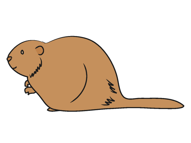 狸｜タヌキ - 動物 / クリップアート / 無料 / アニマル / イラスト / アイコン / かわいい / 絵