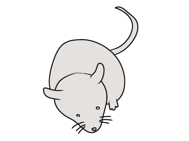 ネズミ｜鼠 - 動物 / クリップアート / 無料 / アニマル / イラスト / アイコン / かわいい / 絵
