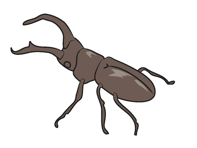 クワガタ｜昆虫 - 動物 / クリップアート / 無料 / アニマル / イラスト / アイコン / かわいい / 絵